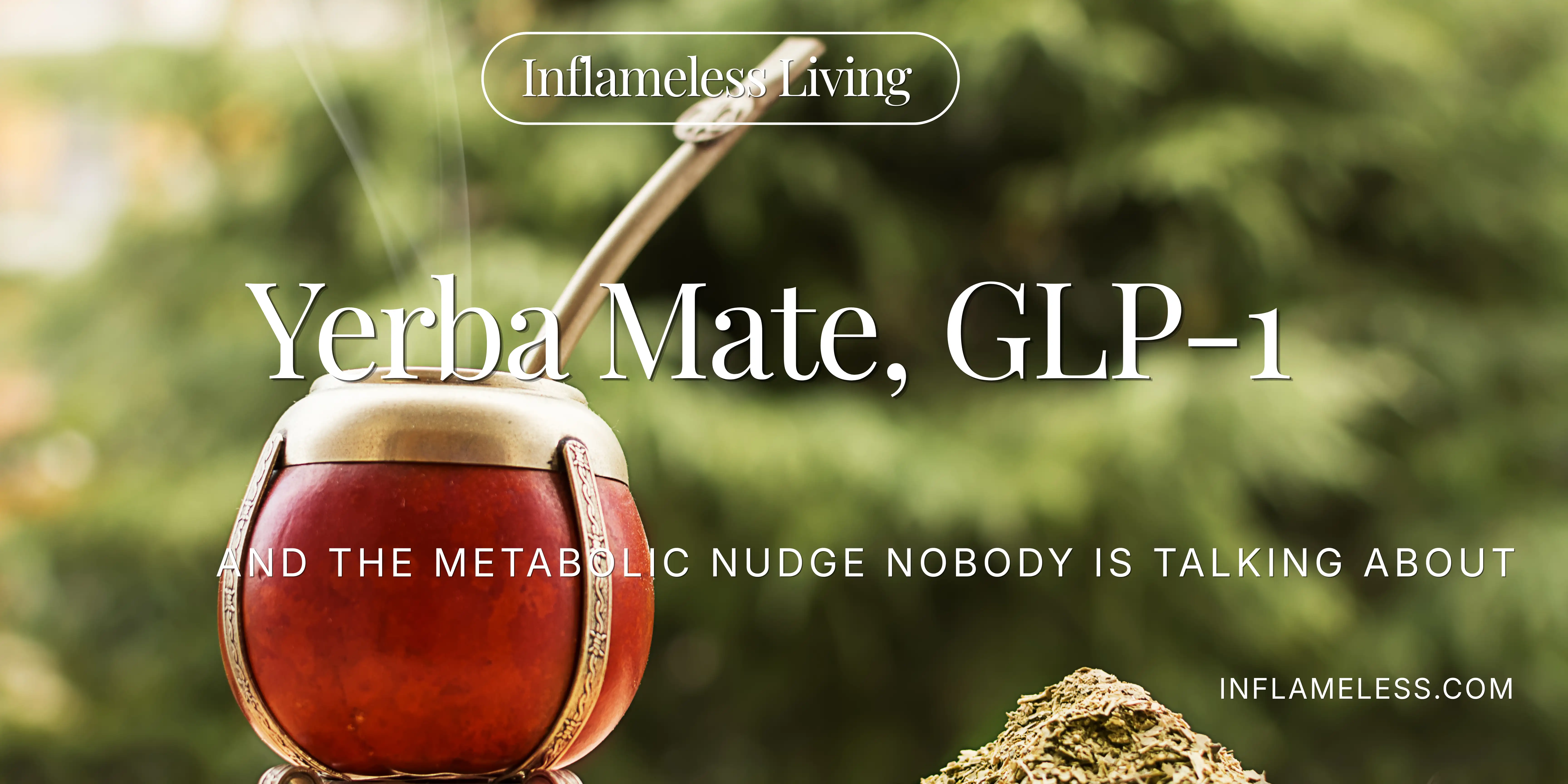 Yerba Mate, GLP-1 and the Metabolic Nudge Nobody Is Talking About